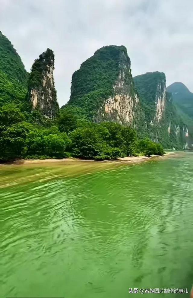 逃离荒废丛林屋